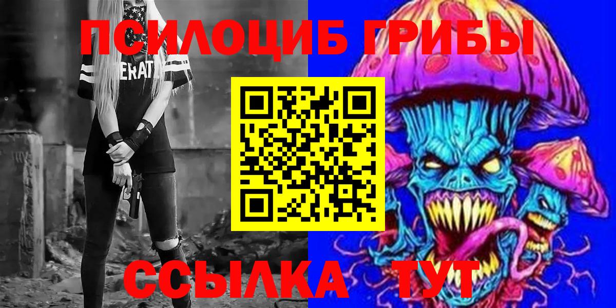 Псилоцибиновые грибы Psilocybe  Вход с VPN  Россошь 